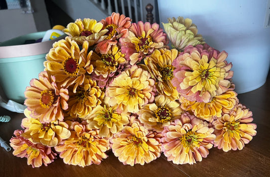 2025 Bouquet CSA - Full Share (16 Weeks)