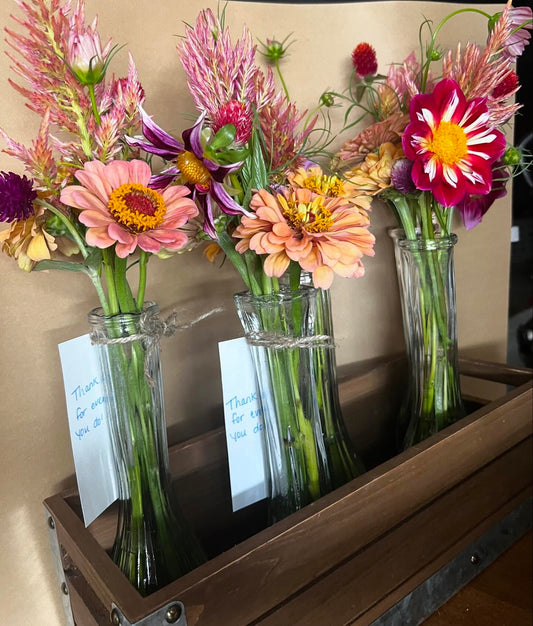 Back 2 School Bud Vases